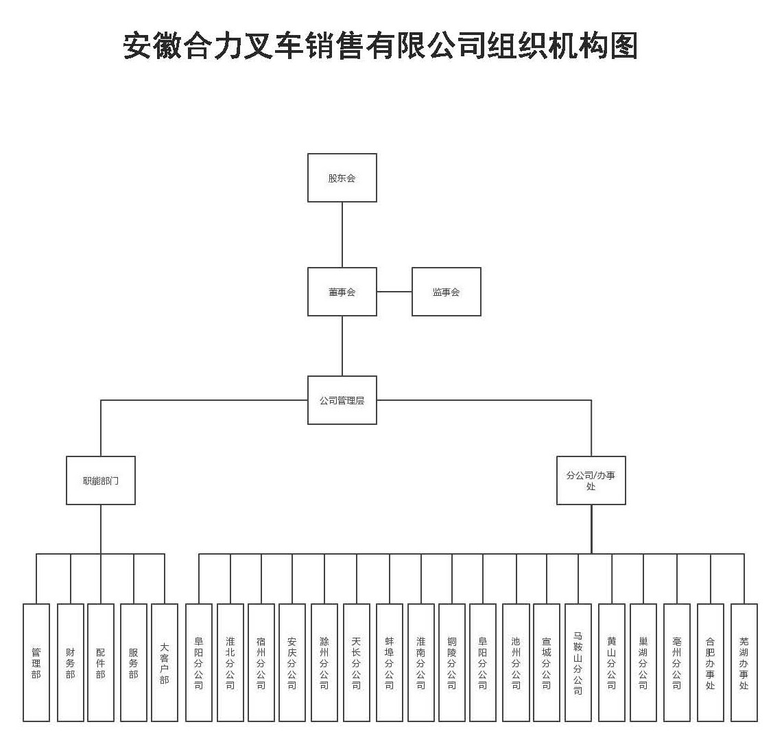 安徽尊龙集团官网销售组织机构图.jpg