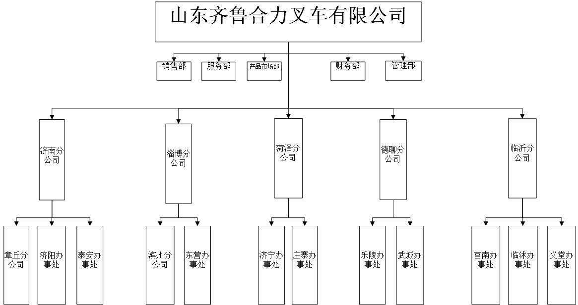 齐鲁尊龙集团官网组织机构图.jpg